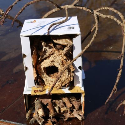 jamie CP bug house